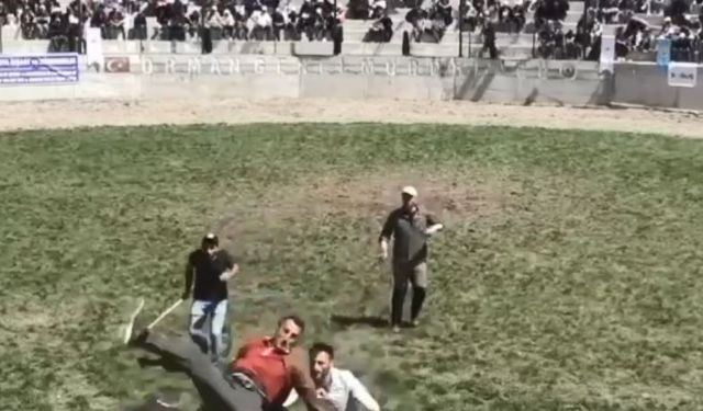 Artvin’de 500 Kilogramlık Boğa, Bakıcısını Hastanelik Etti