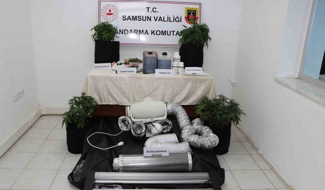 Evine İklimlendirme Sistemi Kurup Kenevir Yetiştirdi, Jandarmaya Yakalandı