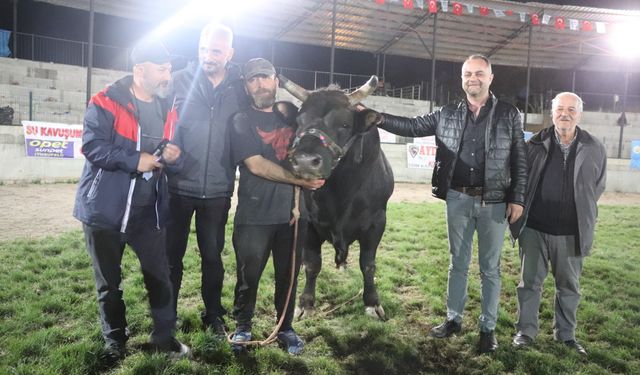 Meraların Efendisi: Göktürk