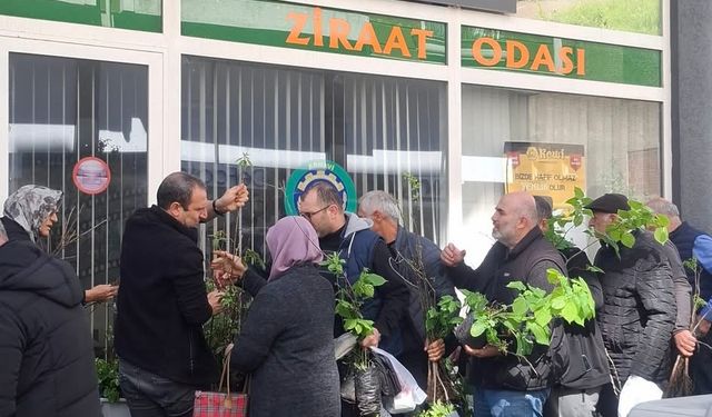 Ücretsiz Fidan Dağıtımı Gerçekleştirildi