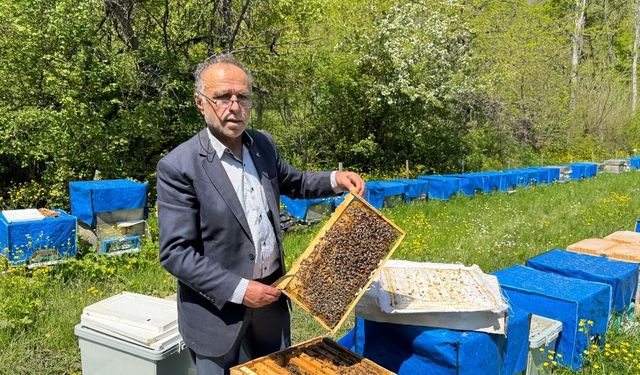 Zirai don Artvinli arıcıları olumsuz etkiledi