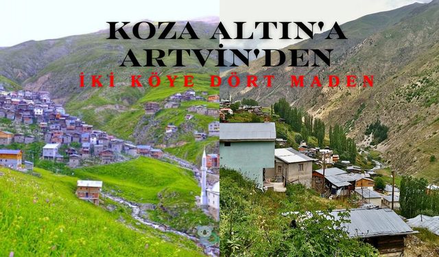 Koza Altın'a Artvin'den İki Köye Dört Maden