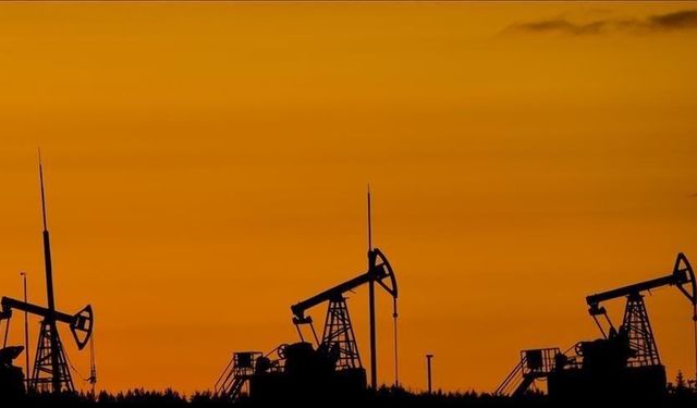 Petrol Hakkına Müteallik Karar