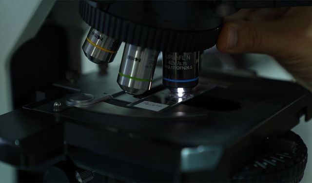 Polen Taneleri Faili Meçhul Suçların Aydınlatılması İçin İncelenecek