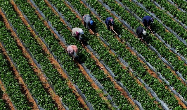 Tarımsal Girdi Fiyat Endeksi Martta Yıllık Yüzde 29,73, Aylık Yüzde 1,8 Arttı