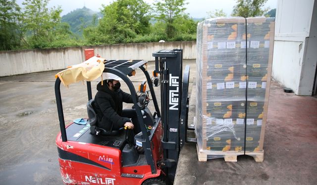 Türkiye'nin Bal Üretim Şampiyonu Ordu'dan Bin Ton İhracat Hedefi