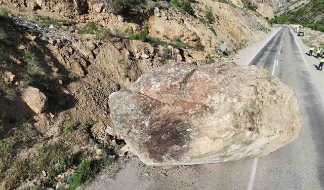Ardanuç’ta Dev Kaya Yola Düştü