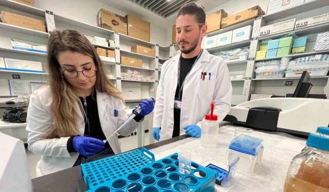 Trabzon’da Akrep Zehri Üzerine Çalışmalar Yürütülüyor