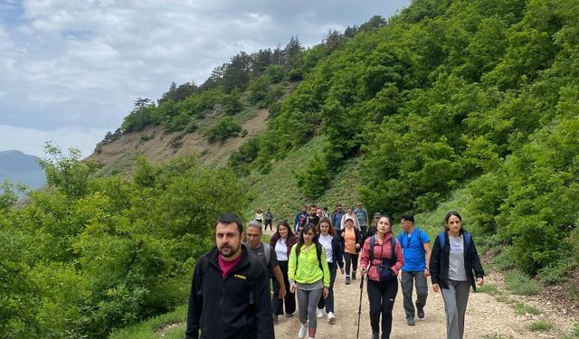 Patika’dan Doğaya Yolculuk