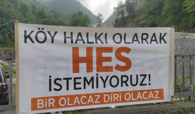Çamlıca HES Projesi'ne Karşı Bilirkişi İncelemesi Yapıldı