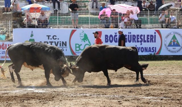 2025’in Güreş Takvimi