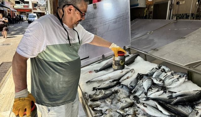 Av Sezonunda Tuzlanan Palamutlar Yazın Tezgahları Süslüyor