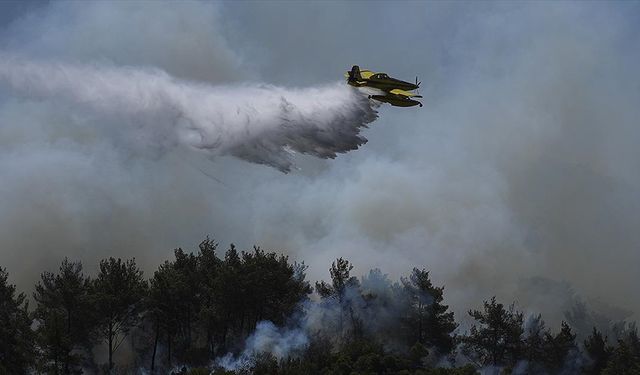 Cumhurbaşkanlığı İletişim Başkanlığından Orman Yangınlarına İlişkin Açıklama