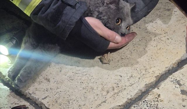 Kastamonu'da itfaiye ekipleri yangından kurtardıkları kediye kendi maskelerinden oksijen verdi