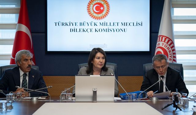 TBMM Dilekçe Komisyonu vatandaşların derdine çare oluyor