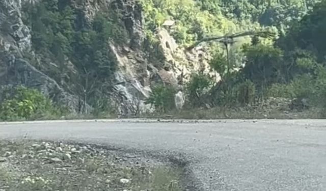 Kartalın Yılan Avı Kameraya Yansıdı