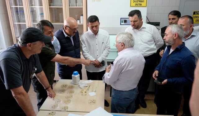Gürcistan'dan Artvin'e Orman Ziyareti