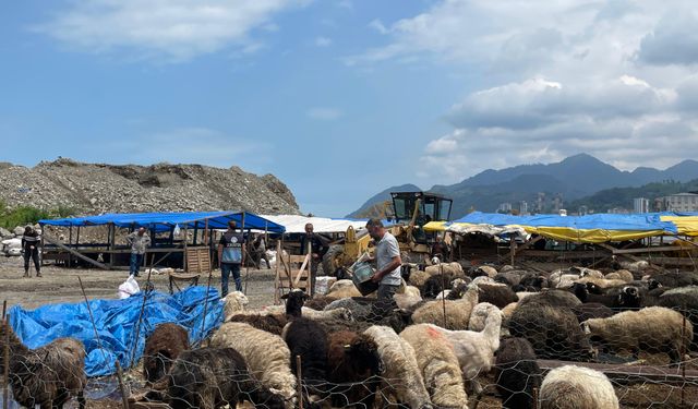 Üreticiler Zorluklarla Mücadele Ediyor