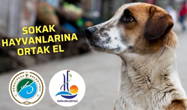 Hopa ve Kemalpaşa’dan Sokak Hayvanları İçin İş Birliği