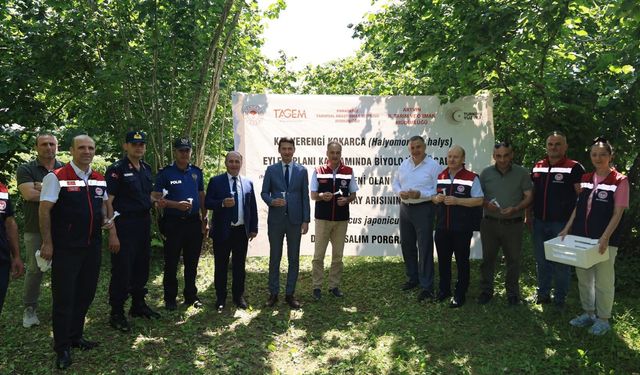 Kahverengi Kokarca ile Biyolojik Mücadele Başladı