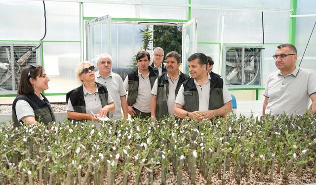 Fidanlık ve Tohum İşleri Dairesinden Bölge Müdürlüğüne Ziyaret