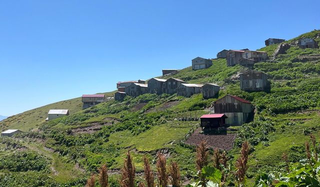 Yaylaya Göç Başladı