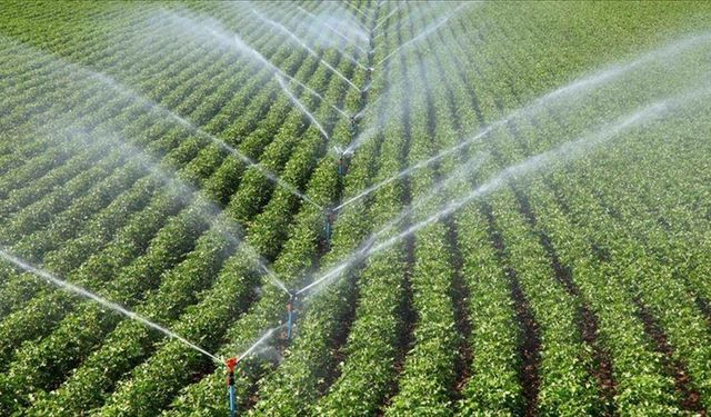 IPARD III Programı kapsamında bugüne kadar 343 milyon avroluk destek ilanına çıkıldı