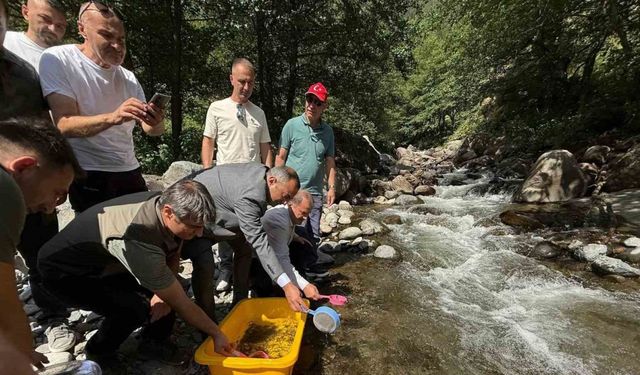 Şavşat’ta Mansurat Deresi’ne 20 Bin Alabalık Yavrusu Bırakıldı