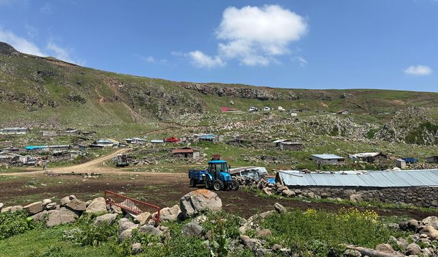 Doğanın Kalbinde Bir Yaşam: Bilbilan Yaylası