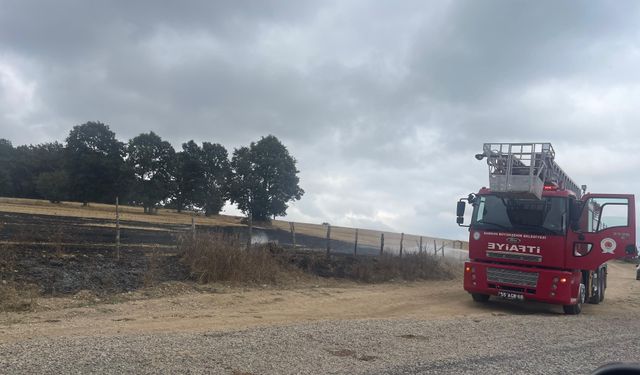 Ladik'te anız yangını ağaçlara sıçramadan söndürüldü