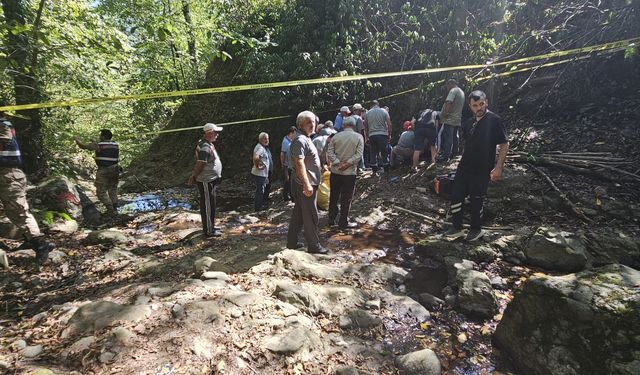 Ordu'da fındık toplarken yamaçtan düşen kişi öldü
