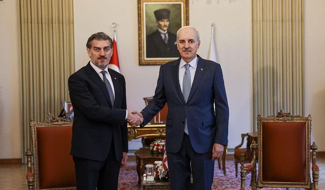 TBMM Başkanı Kurtulmuş, Gürcistan Cumhurbaşkanı Kavelaşvili ile Görüştü