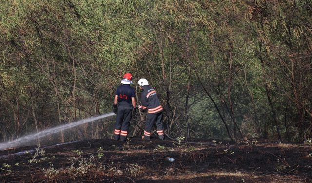 Trabzon'da Çıkan Örtü Yangını Söndürüldü