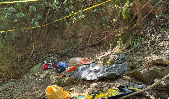 Ordu’da fındık toplarken uçurumdan düşen vatandaş hayatını kaybetti