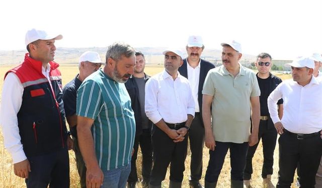Tarımsal üretime gençlik aşısı