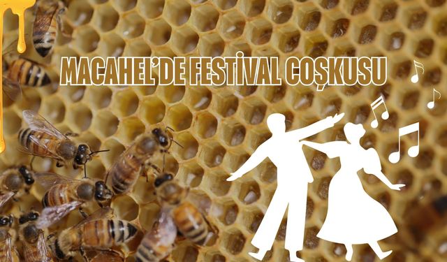 Macahel’de 19. Arı ve Bal Festivali Coşkusu Yaşanacak