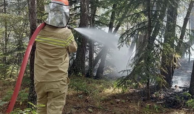 Kastamonu'da çıkan orman yangını söndürüldü