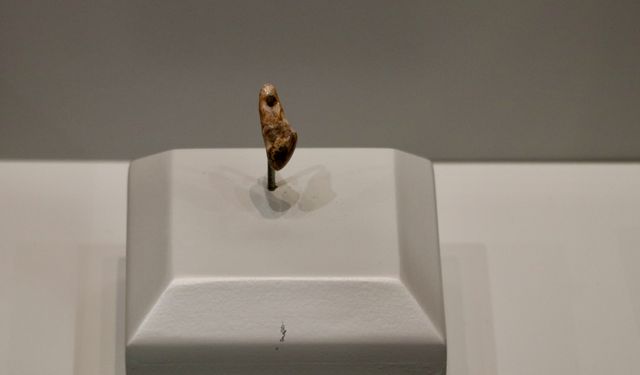 Trabzon'daki kazılarda ulaşılan yaklaşık 14 bin yıllık bulgular müzede sergilenmeye başladı