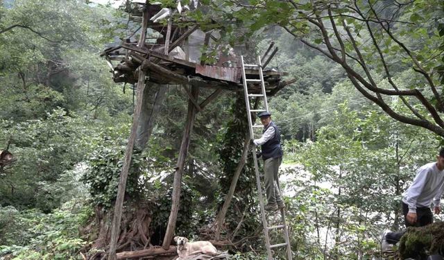 Rize’de karakovan balı Anzer Balı’nı solladı
