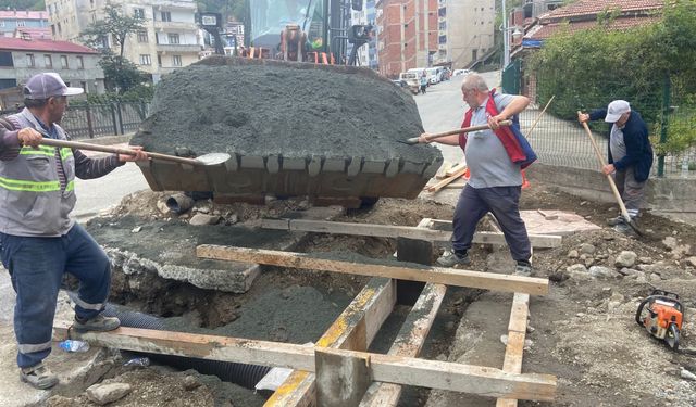 Borçka Belediyesi Haftalık Çalışma Raporunu Açıkladı
