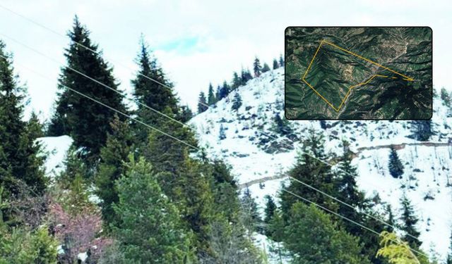 Şavşat’ta Yeni Maden Projesi Onaylandı
