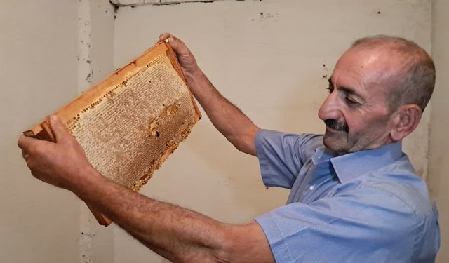 Ardanuç'ta Arıcılar Maliyetlere Dayanamıyor