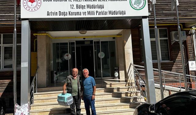 Aret Yaylası’nda Yaralı Şahin Kurtarıldı