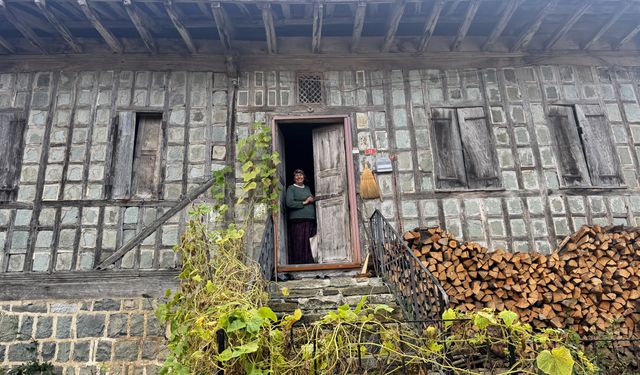 Kestane Ağacından Yapılan Tescilli Evler Arılı Köyüne Ziyaretçi Çekiyor