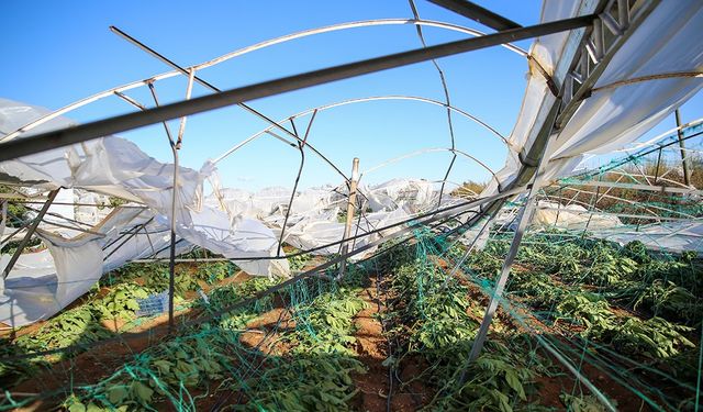 Tarım sigortaları kapsamında eylülde üreticilere 3,15 milyar lira hasar tazminatı ödendi
