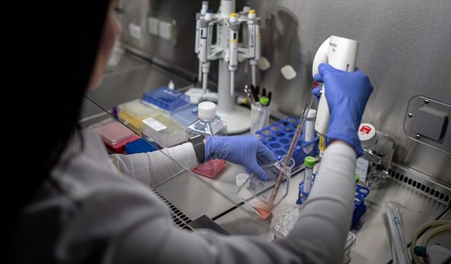 Türkiye'de geçen yıl 651,8 milyar liralık AR-GE harcaması yapıldı