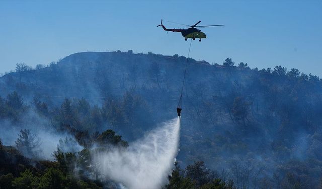 Türkiye'nin teknolojik altyapısıyla orman yangınlarıyla mücadelede de liderlik etmesi bekleniyor