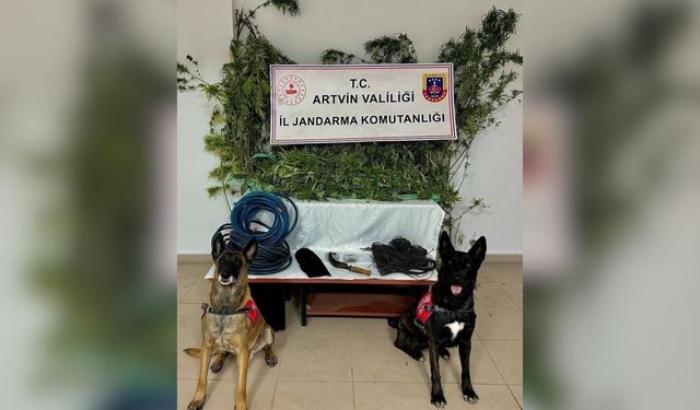 Artvin'de Uyuşturucu Ticareti Yaptığı Gerekçesiyle 1 Zanlı Tutuklandı