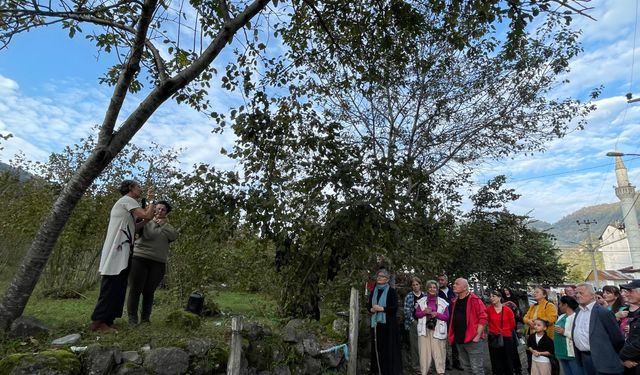 Demir Elma’yla Sanat Yolculuğu