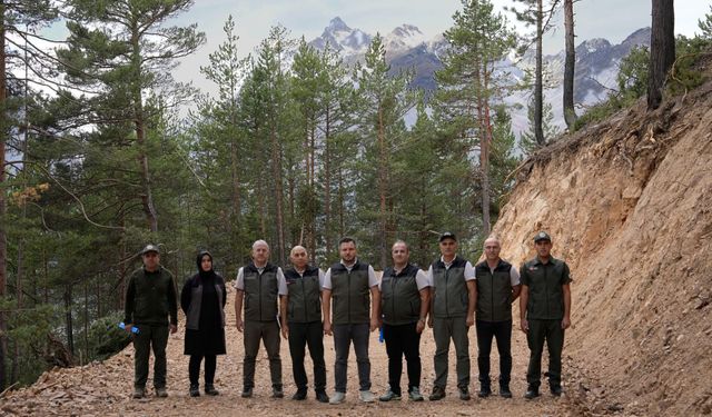 Gürsoy’dan Orman Sahalarına İnceleme
